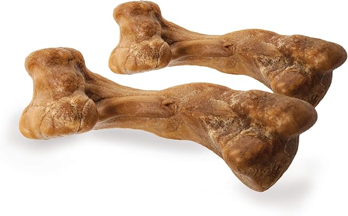 Nylabone Healthy Edibles Wild Dog Treats, Bison Flavor, Medium, 2 Count | Natural dog chew bones, made in USA, highly digestible dog chews, long lasting chews for medium dogs up to 35 lbs