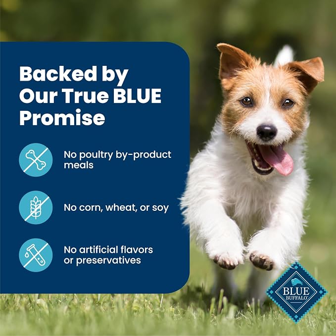 Blue Buffalo Chicken & Spearmint Small Dental Chews, 11.3 oz, 28 ct | 50 Ridges & Grooves Fight Plaque & Tartar, Spearmint Freshens Breath, Natural Ingredients