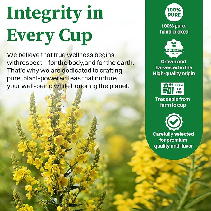 SKMTT Mullein Tea Bags for Lungs, 80 Count | Premium Mullein Leaves, Respiratory Support, Caffeine Free, No Additives