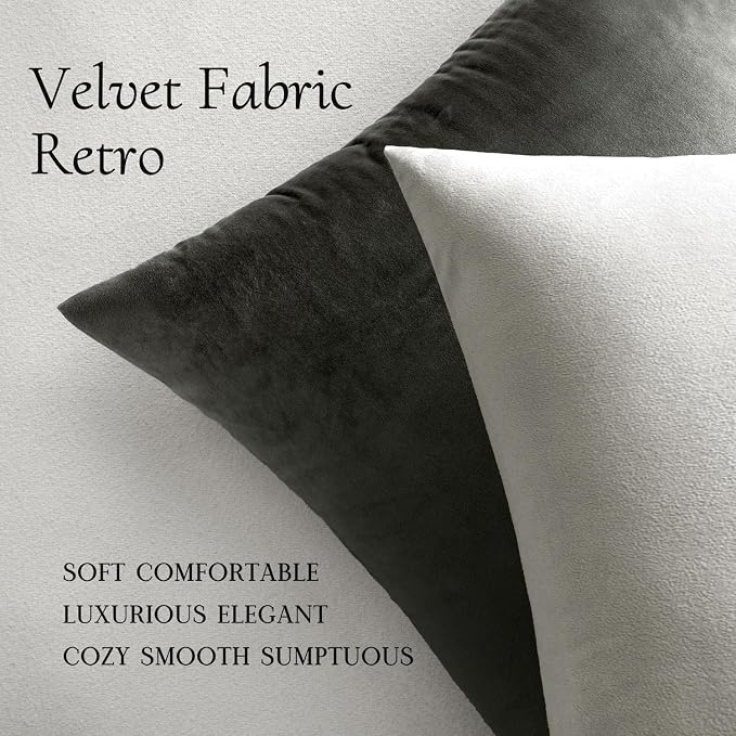 MIULEE 24x24 Inch Pack of 2 Euro Velvet Throw Pillow Covers Greyish White | Soft Solid Decorative Euro Sham, Modern Luxury Home Decor, for King Bed Sofa Couch Bedroom Livingroom