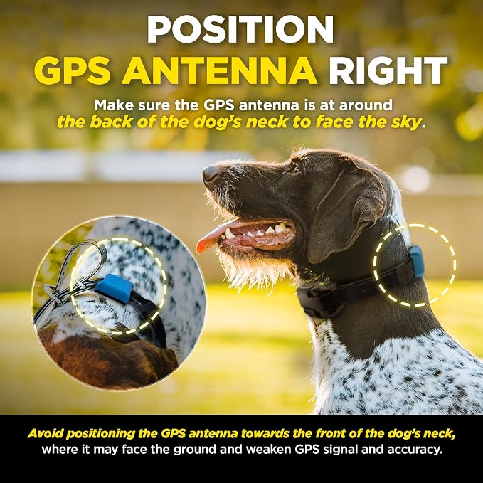 Dogtra Smart Fence Additional Receiver Only (Orange) - Expand to 2 Dogs, Requires Control Station, Wireless Electric Dog Fence System, No Subscription, 2-Tier Alarm, Tone/Vibration/Static, 35 lbs+
