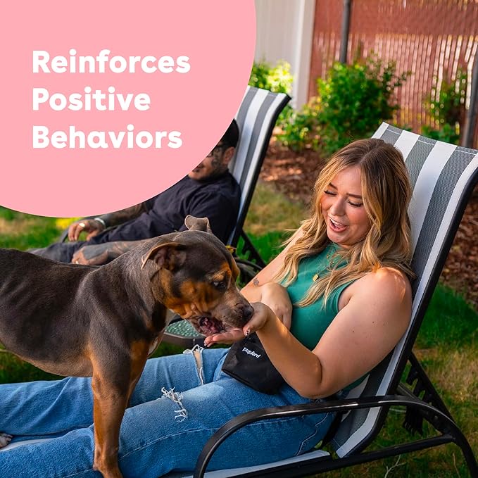 Pupford Freeze Dried Training Treats for Dogs & Puppies, 475+ Two Ingredient Bites (Salmon, 4 oz) (Pack of 2)