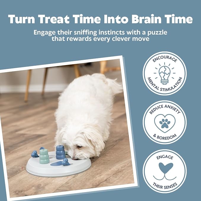 TRIXIE Flip Board Dog Activity Interactive Toy, Level 2 Food Puzzle Game, Brain Teasing Treat Dispenser, IQ and Mental Development Toy for Smart Dogs, Enrichment Toy for Boredom Busting | Challenging strategy game for mental stimulation and slower feed...