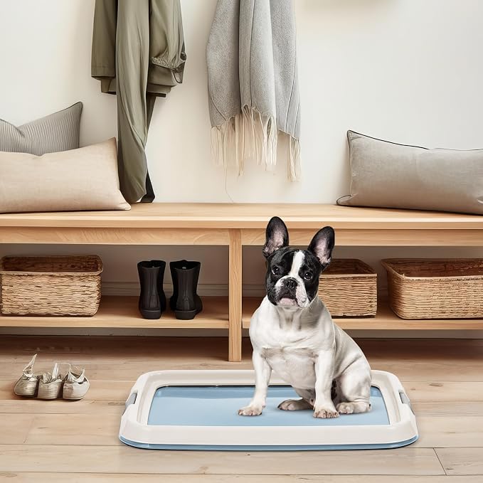 IRIS USA Pee Pad Holder, Fits 17x23 Pads, Blue, Made in USA | Dog Training Pad Holder, Holds Pads in Place, Leakproof Design, Secure Latches, Non-Skid Feet, Easy Clean Surface