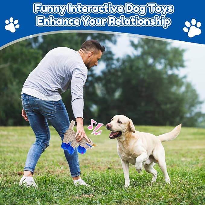 loncoldy Squeaky Dog Toys, Plush Chew Toys for Dogs, Crinkle Interactive Squeaky Stuffed Dog Toy for Small Medium Large Breeds, Dog Toy to Keep Them Busy, Pet Toys for Dogs