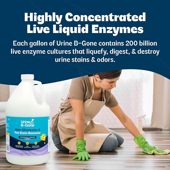 Urine B-Gone Enzyme Cleaner for Human, Cat & Dog Urine, Lavender, 1 Gallon | Enzyme cleaner for human, cat and dog urine on laundry, carpets and more; lavender scent, 1-gallon size.