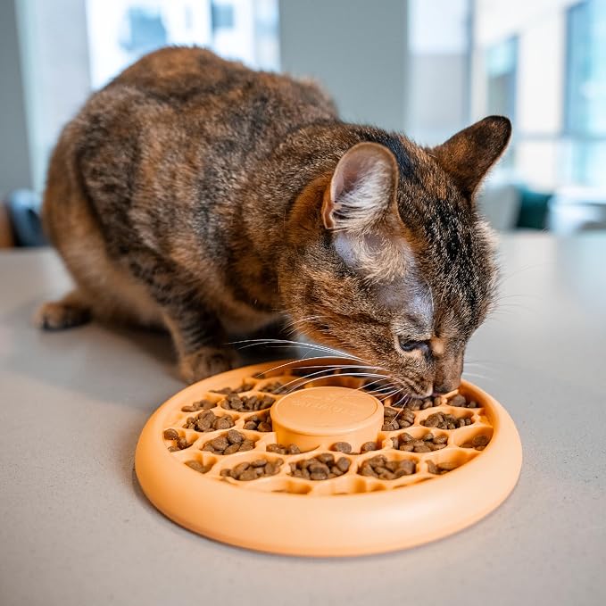 Catstages Slow Feeder Bowl & Treat Puzzle Cat Toy, Aids Digestion, 6.6" | Holds 1/2 Cup of Wet or Dry Food, 30 Treat Compartments, Non-Slip Base, Easy Clean, No BPA, Enrichment, Indoor Cats & Kittens