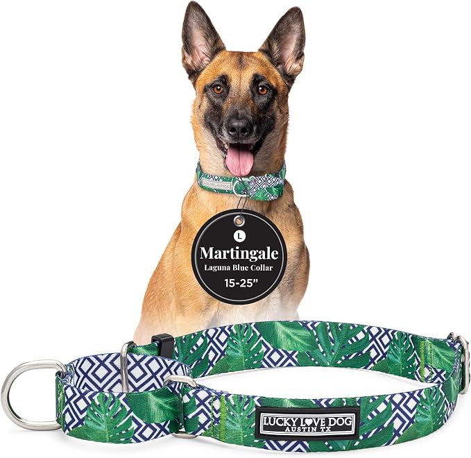 Lucky Love Dog Martingale Collar for Large Dogs Cute – Blue Laguna, Large