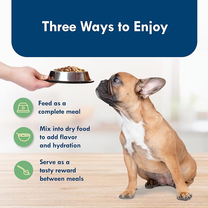 Blue Buffalo Delights NY Strip Small Breed Wet Dog Food, 3.5 oz, 12 ct | Grain-Free, Real Beef First, in Hearty Gravy, No Corn, Wheat, or Soy