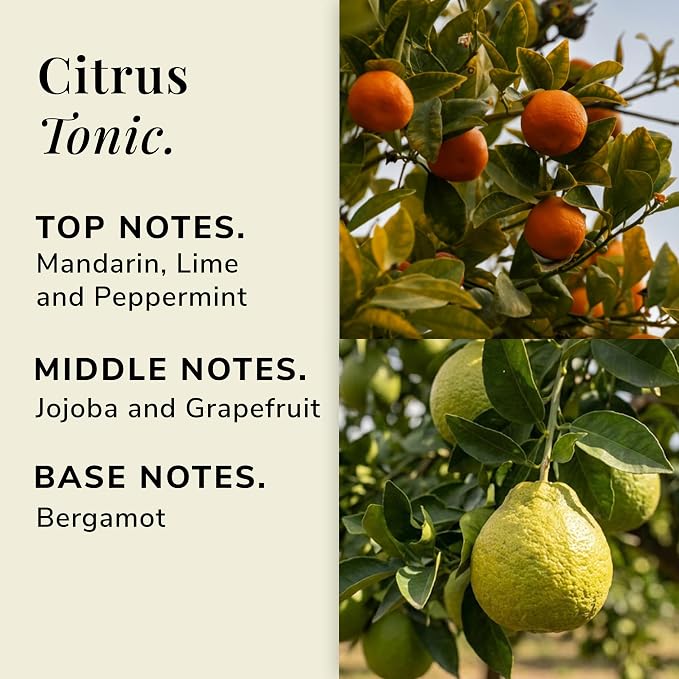 Citrus Tonic Aromatherapy Candle – Mandarin, Lime & Grapefruit Scented Candle, Plant-Based Wax, 7 oz, 45 Hour Burn Time, Fresh & Uplifting Candle