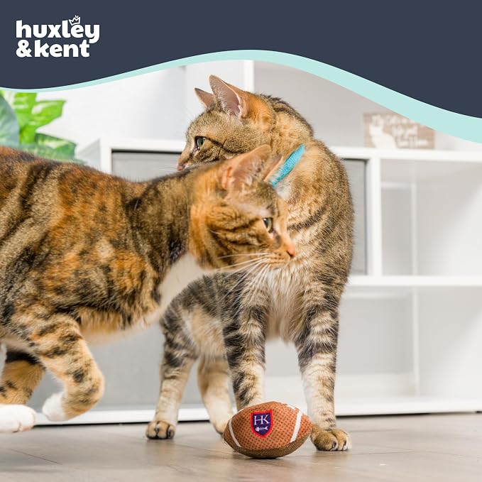 Huxley & Kent Power Plush Squeaky Dog Toy, HK Football