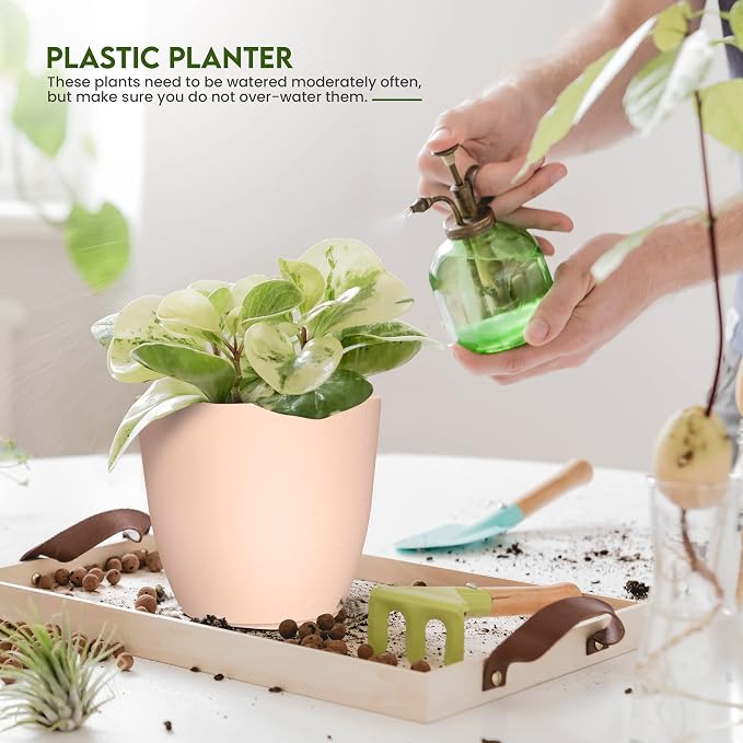 Plant Pots Indoor with Drainage, 5 Pack Multi-Size Planters Set, Pink | Drainage holes included Multiple sizes 7/6.6/6/5.3/4.8 In Indoor plants and flowers Durable plastic construction