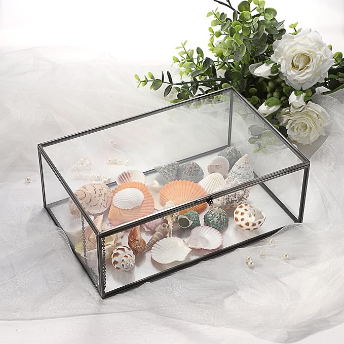 Hipiwe Vintage Glass Box with Lid Jewelry Display Case Vanity Lidded Box | Rectangle Glass Boxes Organizer Black Home Decor Accent Decorative Boxes for Keepsakes Trinket Rings,X-Large