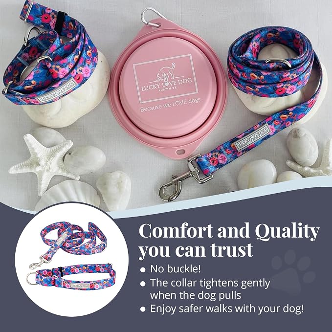 Lucky Love Dog Martingale Collar and Leash Set for Small Dogs – Zuzu, Small