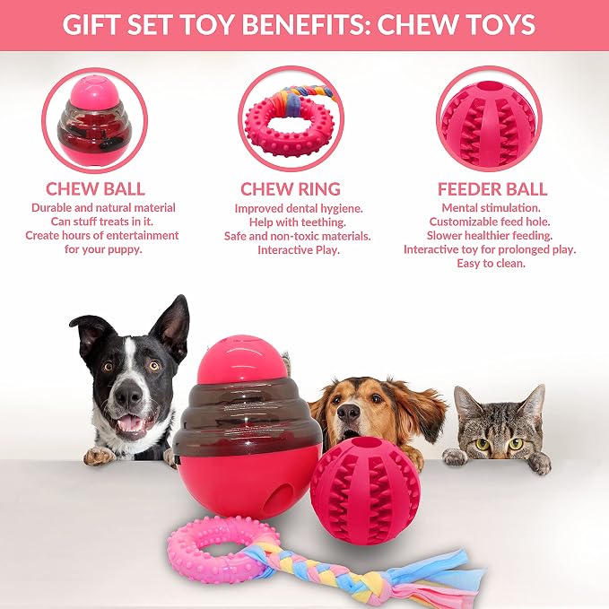 Puppy Starter Kit – 5pc Dog Toy Gift Set for Small Dogs – Blanket, Squeaky Plush, Teething Ring, Treat Ball – New Puppy Essentials Gift Box (Pink)