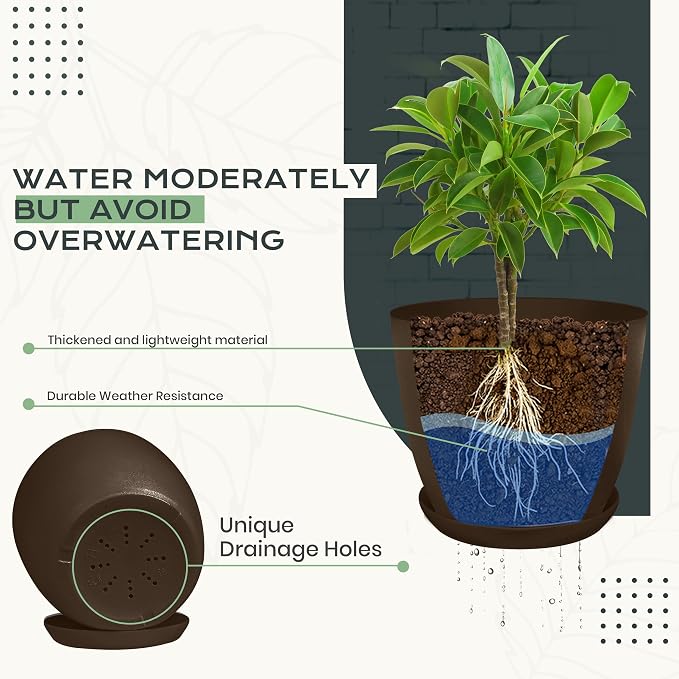Plant Pots Indoor with Drainage, 10 Pack Multi-Size Planters Set, Brown | Drainage holes included Multiple sizes 7/6.6/6/5.3/4.8 In Indoor plants and flowers Durable plastic construction