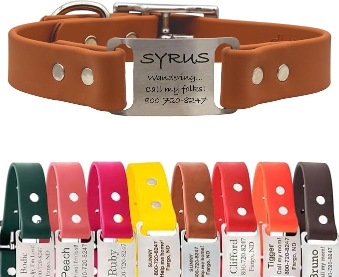dogIDs Personalized Dog Collar – ScruffTag Custom Waterproof Biothane Dog Collar with Laser-Engraved Name, Durable & Odor-Resistant – USA Made | Terracotta, 1 in x 20 in (Fits Neck Sizes 18-22 in)