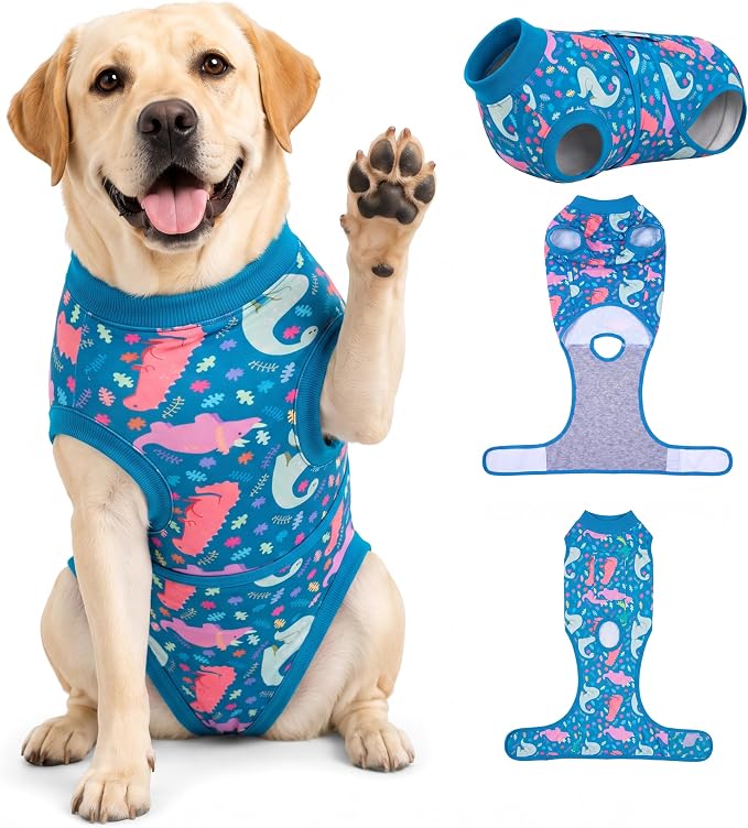 PetWarm Dog Recovery Suit After Surgery, Dog Bodysuit, Substitute E-Collar and Cone, Pet Surgery Recovery Suit, Female Male Dog Onesie for Spay Neuter, Dinosaur Pattern, Multi-Colored, 2XL