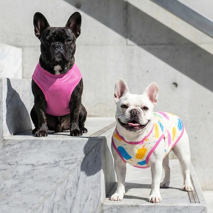 KYEESE 2Pack Dog Shirt, Lightweight Sun Protection Dog T Shirts for Small Medium Dogs Girl, Breathable Mesh Tank Top Sleeveless Pet Reflective Vest, Soft Summer Dogs Clothes, Ice Pop+Pink, XL