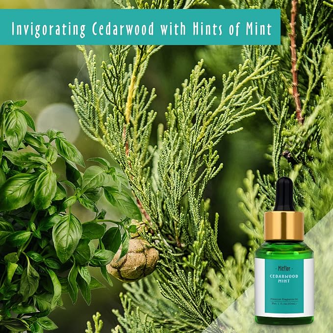 Cedarwood Mint Fragrance Oil, MitFlor Single Scented Oil, Premium Grade Fragrance Oil for Candle Making, Soap Making Scents, Large Size Aromatherapy Oil, Forest Scents for Home Fragrance, 30ml