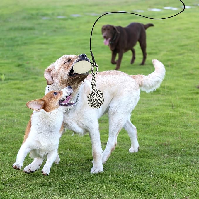 Flirt Pole for Dogs, Interactive Toys Tug-of-war for Dogs, Five-Section Retractable Adjustable Length, Chase Toys with Rope Chewing Sticks, for Outdoor Exercise & Training