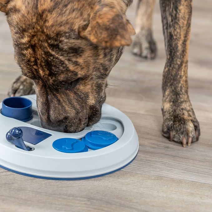 TRIXIE Dog Activity Hide N' Slide, Level 2, Strategy Game, Dog Puzzle, Treat Dispenser
