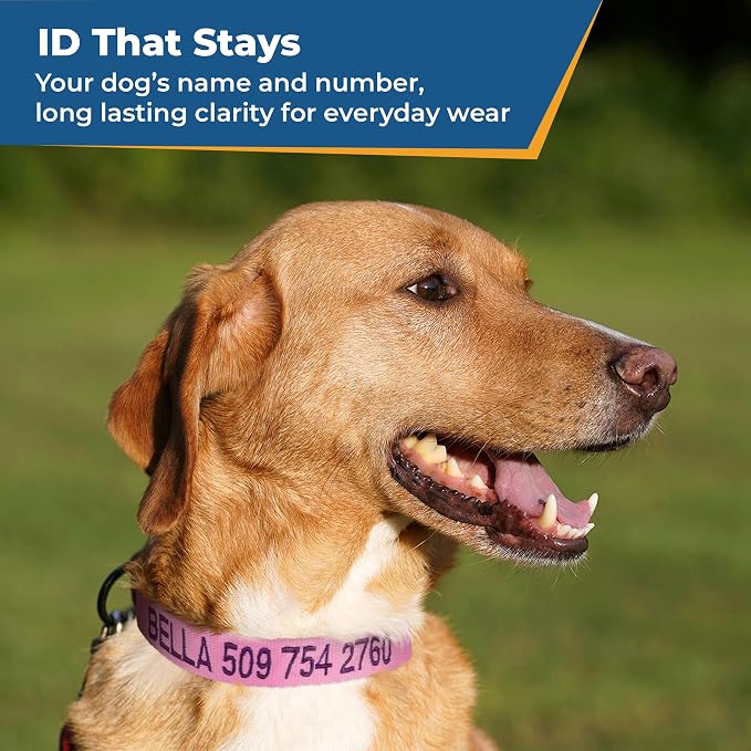GoTags Personalized Dog Collar with Buckle, Custom Embroidered with Pet Name and Phone Number in Blue, Black, Pink, Red and Orange, for Boy and Girl Dogs or Cats, 10 Adjustable Sizes