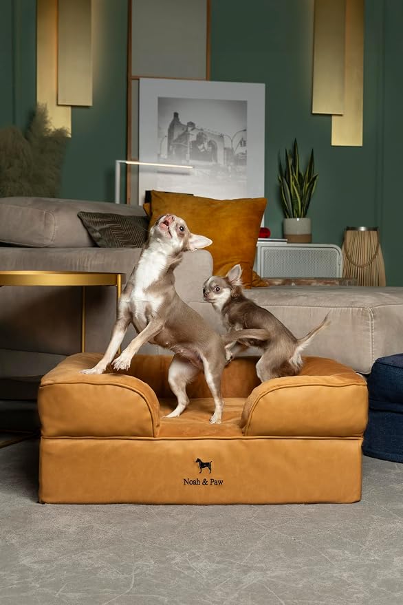 NOAH & PAW Dog Bed, 28x23x11 Inch, Orthopedic Dog Beds for Medium Size Pets, Eggshell Memory Foam Infused with Cooling Gel, Inner Cover, Water Resistant, Machine Washable (Faux Leather)