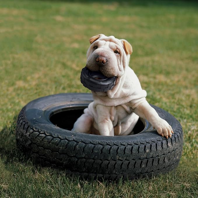 KONG Extreme Tires Most Durable Natural Rubber Chew & Fetch Toy - Treat Dispenser Dog Tire Toy - Pet Supplies for Outdoor & Indoor Play - for Medium/Large Dogs (Pack of 2)