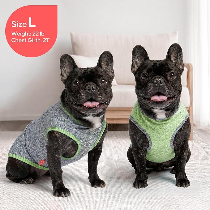 KYEESE 2Pack Dog Shirt for Small Dogs Sun Protection Tank Top for Summer | Reflective for Safety, Lightweight & Breathable, Shedding Control, Skin-Friendly for Sensitive Dogs, Easy On/Off, Quick Dry