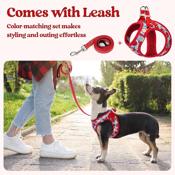 rabbitgoo Dog Harness Small Sized and Leash Set, Step-in Puppy Pet Vest | Light, Soft, Breathable Air Mesh, Easy on and Remove with Hook & Loop, Secure Reflective for Walking, Apple Pups M