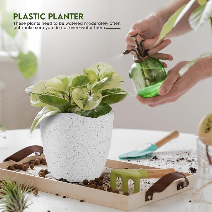 Plant Pots Indoor with Drainage 5 Pack Multi-Size Planters Set Spotty Grey | Drainage holes included Multiple sizes 7/6.6/6/5.3/4.8 In Indoor plants and flowers Durable plastic construction