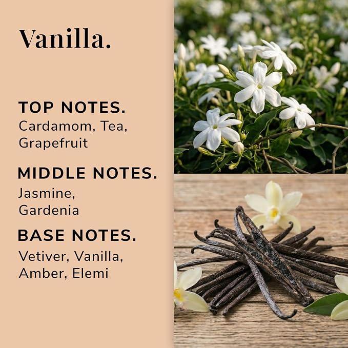 Mayan Vanilla Aromatherapy Candle – Vanilla, Coconut & Palo Santo Scented Candle, Plant-Based Wax, 9.8 oz, 50 Hour Burn Time, Warm & Tropical Candle