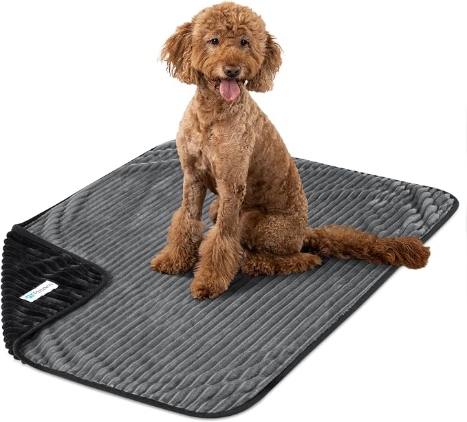 PetAmi Waterproof Dog Blanket, Leakproof Pet Blanket for Small Medium Large Cats, Soft Plush Reversible Sofa Couch Cover Protector, Washable Puppy Throw for Bed Crate, 40x60 in, Black Grey