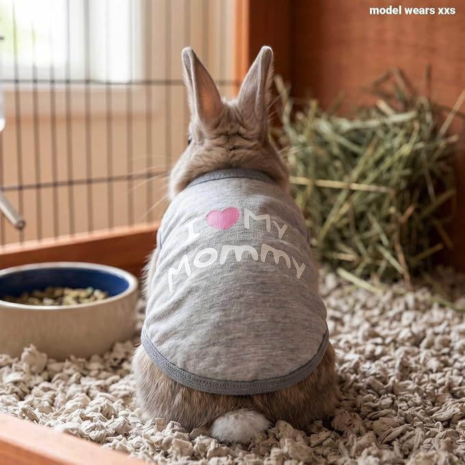 Guinea Pig Clothes (2-Pack), Striped Small Animal Vest T-Shirt | Soft Breathable Small Pet Apparel & Costume for Rat, Guinea Pig, Rabbit, Chinchilla, Ferret, Kitten