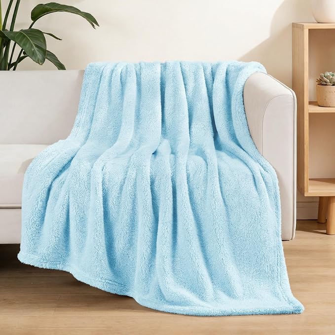 Exclusivo Mezcla Soft Plush Fleece Throws Blanket for Couch Sofa Bedroom | Lightweight Fuzzy Fluffy Blanket for All Seasons, Cozy Velvet Throws for Women Men, Machine Washable, 50"x60", Light Blue