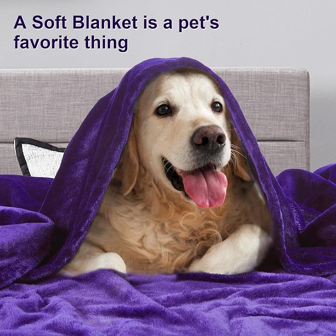 DREAMNINE Extra Large Fleece Blanket, Soft Comfy Fluffy Bed Blankets Queen Size 90" x 90",Luxury Decorative Fuzzy Blanket for Bedroom,Big Cozy Shaggy Warm Flannel Blankets for Winter Autumn Pet,Purple