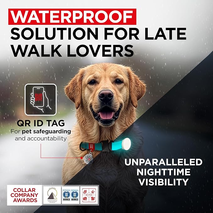 WAUDOG Waterproof Dog Collar - Adjustable Dog Collar for Large Dogs, Small and Medium Dogs - Heavy Duty Dog Collars with Durable Metal Clasp and QR Dog Tag - Boy & Girl Dog Collars