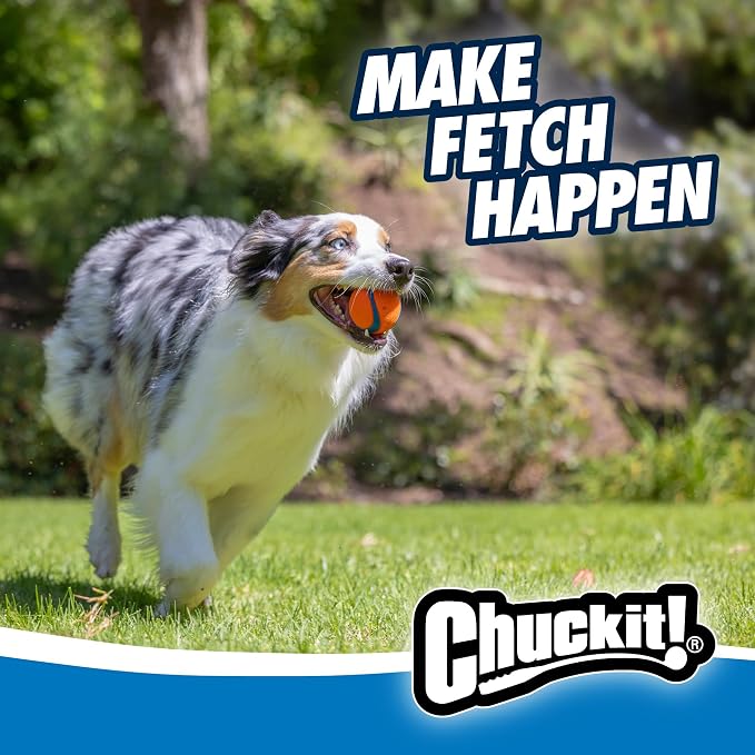 Chuckit! Dog Balls - Interactive Dog Toys, High-Bounce Fetch Ball, Floating Ultra and Rugged Balls, Durable - Size Medium, 2.5-inch Diameter, Set of 3 (Pack of 12)