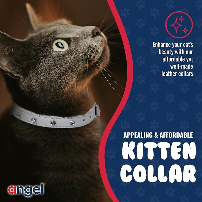 Athens Cat Collar, Leather Kitten Collar w/Rhinestones, Sturdy Breakaway Cat Collar with Bell & Elastic Stretch, Cat Accessories, Ivory White, 12 x ½ inches - Angel Pet Supplies