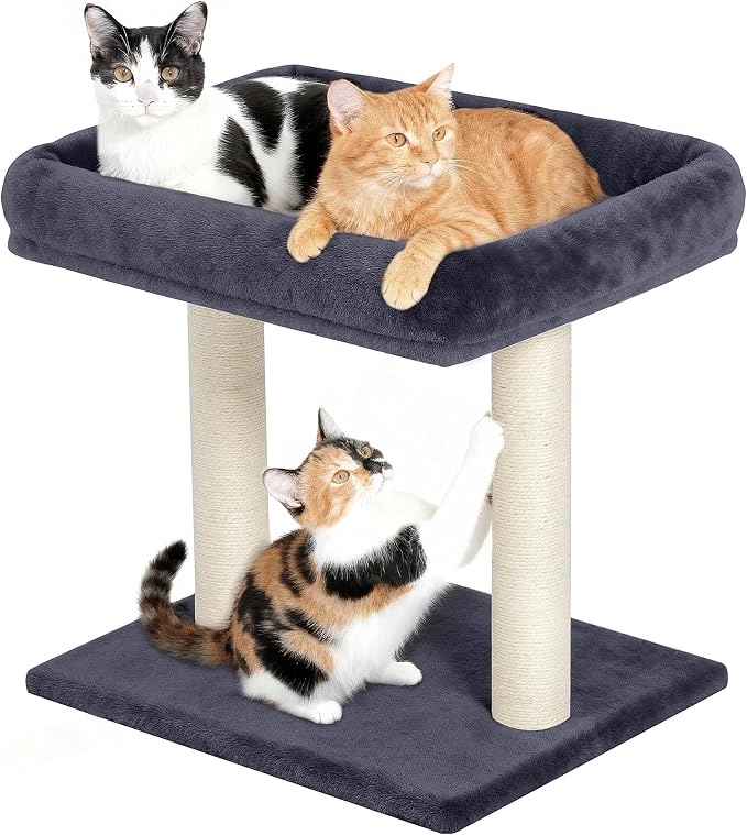 19" Small Cat Tree with Scratching Post for Indoor Cats with Perch | Dark Gray, Removable 19"×15.8" Perch Bed, Dual Natural Sisal Scratcher,Small Cat Tower,Space-Saving