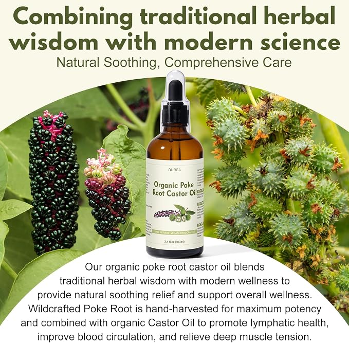 Organic Poke Root Castor Oil – 3.4 Fl Oz Natural Lymphatic Support Massage Oil, Soothing Relief for Cysts, Boils, Breast, Fibroids, Swollen Lymph Nodes & Joint – Deep Tissue Drops