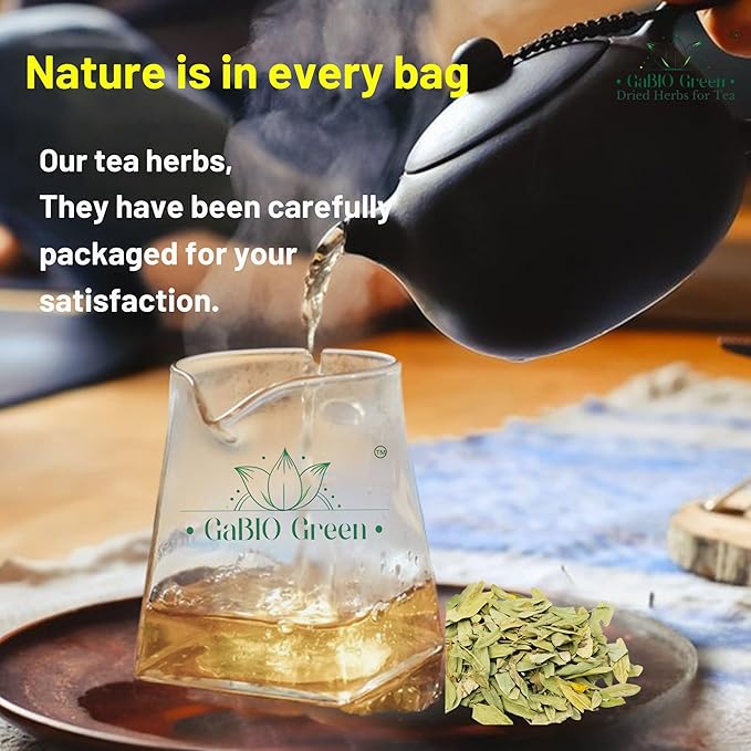 Natural Senna Leaves Hoja Sen Dried Herbal Leaves, Senna Raw Leaf, Hoja Sen Cut & Sifted Herbs, Non-GMO, Gluten-Free, Senna Alexandrina in a Resealable Bag (2oz)