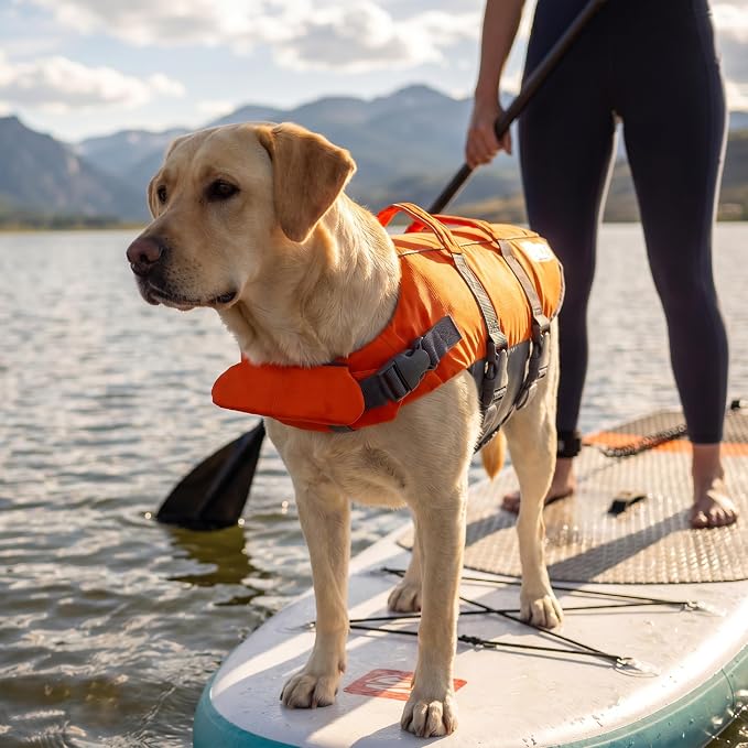 Outward Hound Granby Splash Dog Life Jacket, Life Vest, Orange, Large | Max Buoyancy, Adjustable Fit, Head/Neck Support, Rescue Handle, Reflective, Swimming & Boating, Large Dogs (28–32" Girth)