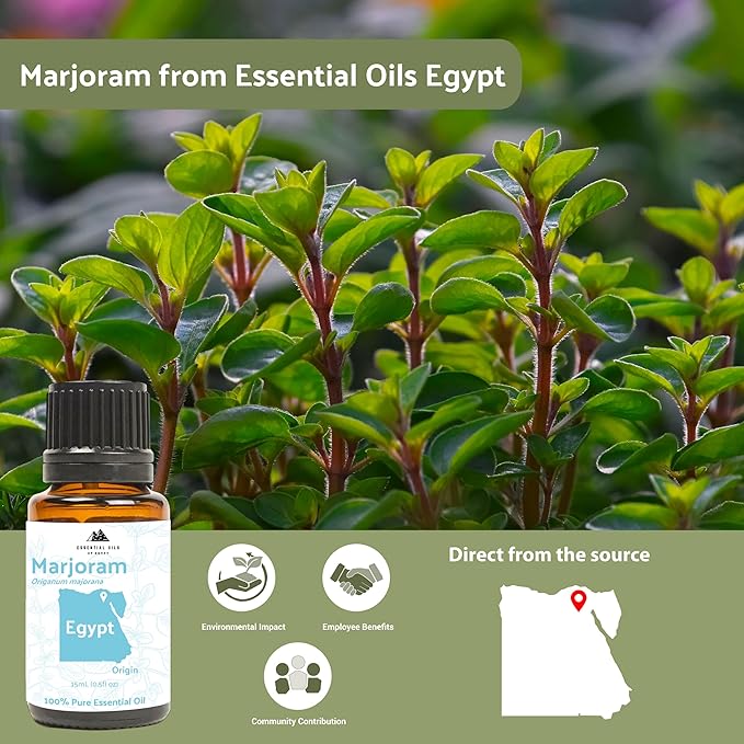 Marjoram Essential Oil - Aceite de Mejorana Direct from Egypt for Massage & Aromatherapy | Premium Therapeutic Grade (2lbs)