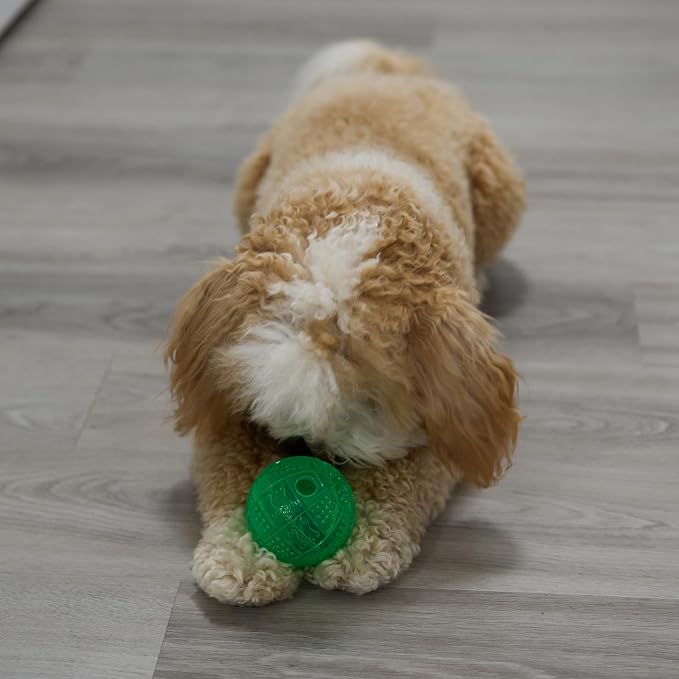 SPOT Dura-Brite Treat Ball - Treat Dispensing Dog Toy Made with Durable TPR Rubber, Interactive Slow Feeder Puzzle Ball, Prevents Boredom and Makes Mealtime Fun - 3in, Assorted Colors