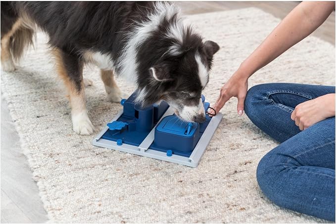TRIXIE Poker Box 2 Dog Activity Interactive Toy, Level 3 Food Puzzle Game, Brain Teasing Treat Dispenser, IQ and Mental Development Toy for Smart Dogs, Enrichment Toy for Boredom Busting