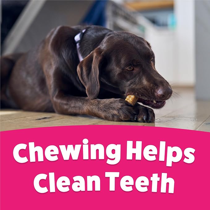 Purina Busy Bone Adult Large Dog Chew Treats, Original, 6 ct Pouch | Rawhide free chew with a real meat center for dogs 35+ lbs, long lasting chew that helps clean teeth