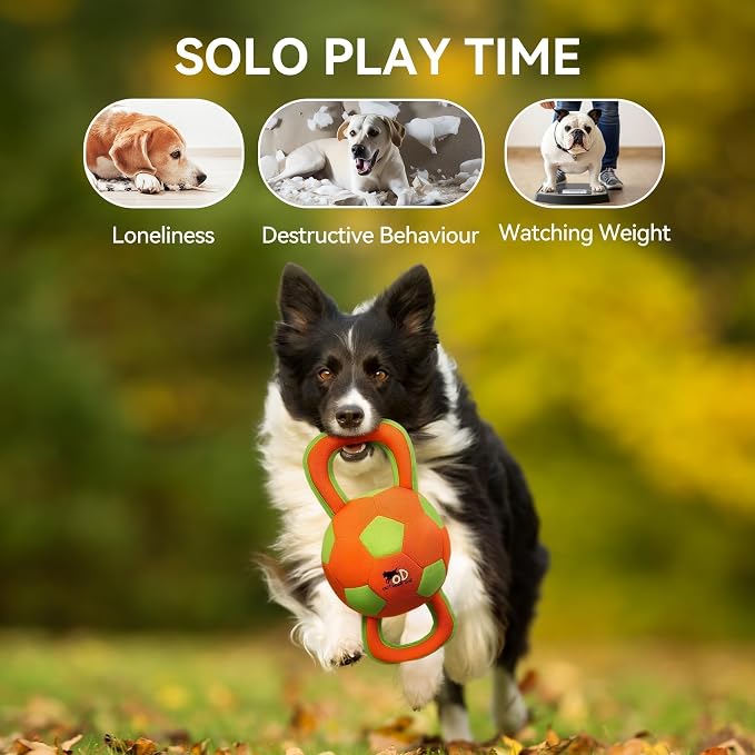 ALL FOR PAWS Upgraded Dog Ball with Handles, Durable Dog Toy with Squeaker, Interactive Tug of War Ball Toy for Medium and Large Dogs,15.7 x 7.9 x 7.9 Inch