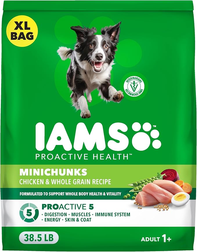 IAMS Proactive Health Adult Minichunks Dry Dog Food, Chicken, 38.5 lb | Real chicken #1 ingredient, no fillers, natural fiber & prebiotics, Omega-6 fatty acids, antioxidants for immune support
